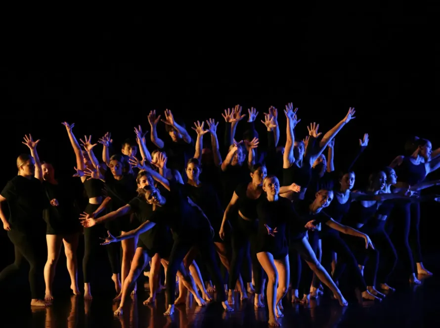 Dance Shows
