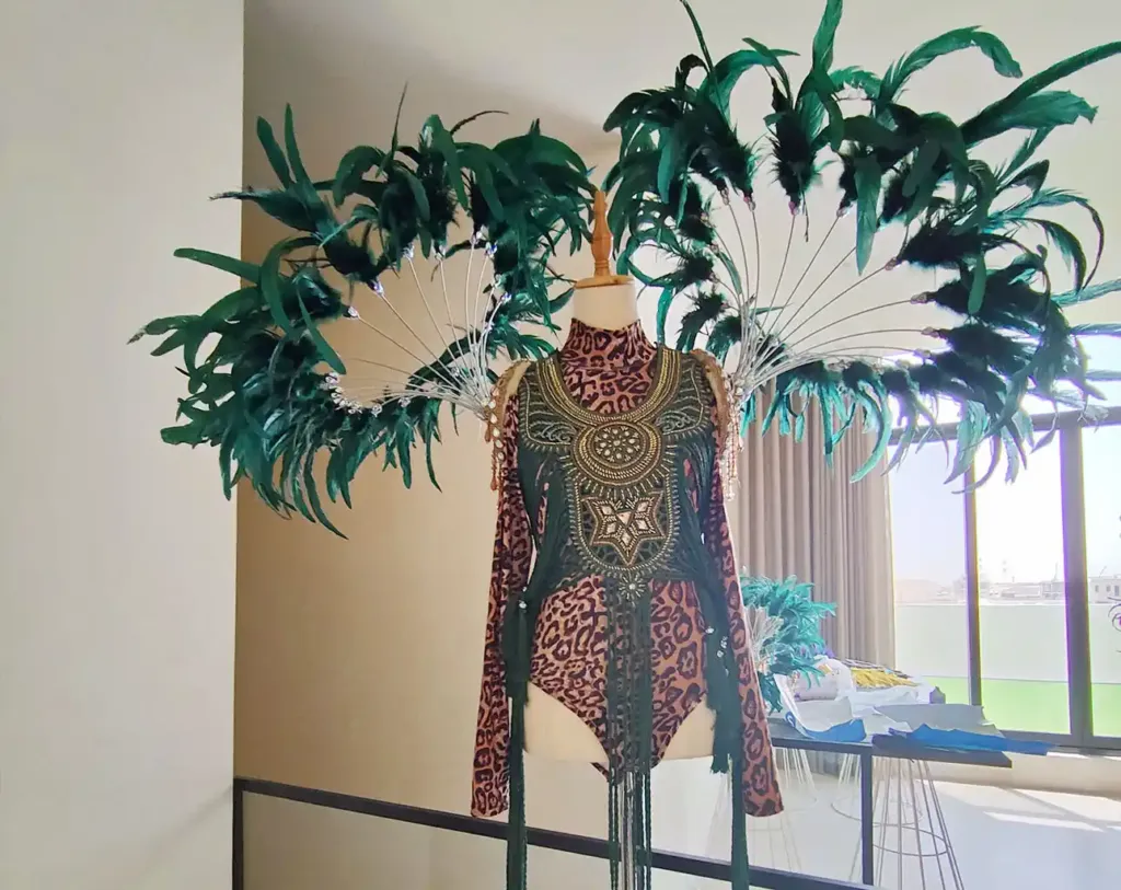 dance costume collection