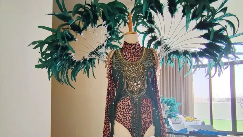 dance costume collection