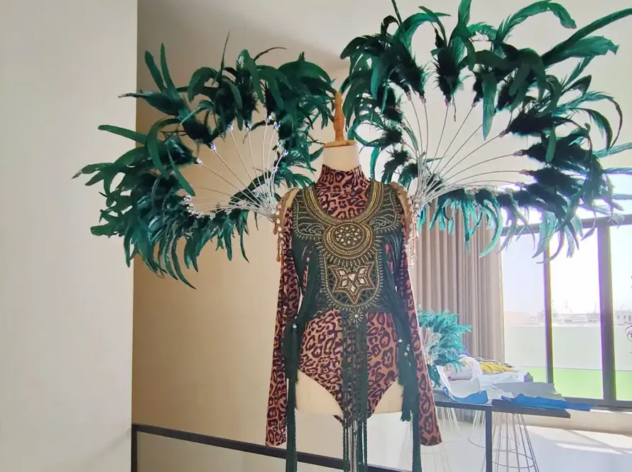 dance costume collection